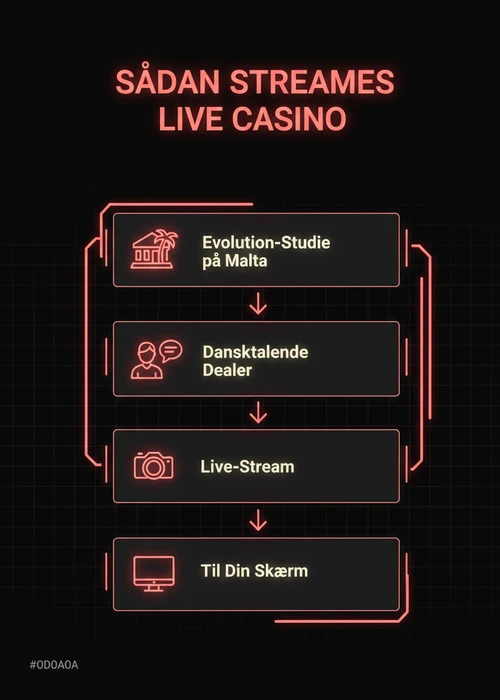 Live casino dealer, der smiler, med roulettehjul og spillekort i baggrunden